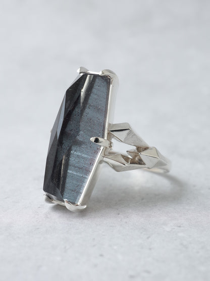 Hematite in Quartz CRYSTALLIZE Ring / cut by CANNA