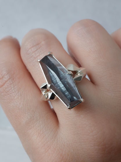 Hematite in Quartz CRYSTALLIZE Ring / cut by CANNA