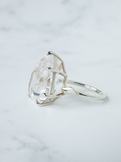 Negative Crystal in Quartz Ring / cut by CANNA