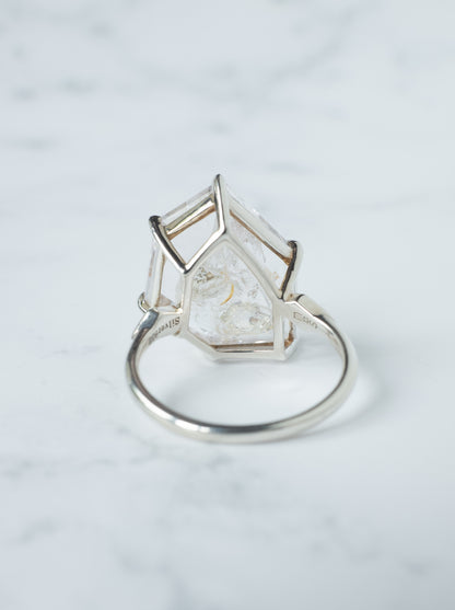 Negative Crystal in Quartz Ring / cut by CANNA