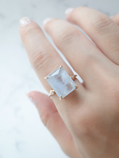 Dumorutierite in Quartz Ring cut by CANNA -2