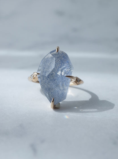 Dumorutierite in Quartz Ring cut by CANNA - 3