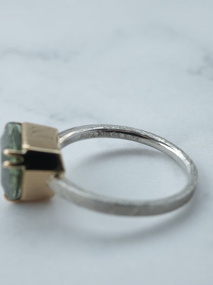Ludwigite in Peridot Ring - 2