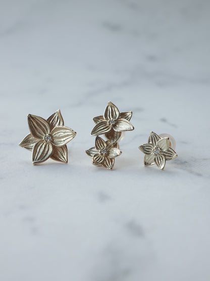 DAFFODIL stud earrings  Single - M