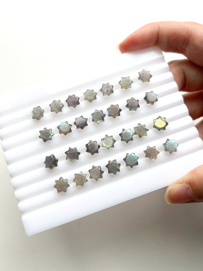 SWALLOW stud earrings with STAR