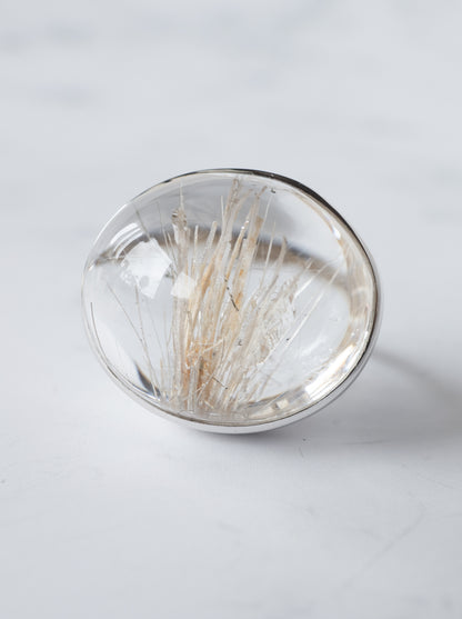 Sericite in Quartz Ring