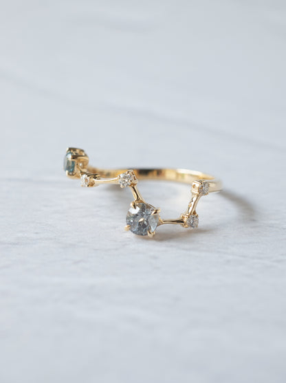 Montana Sappire Asterism Ring