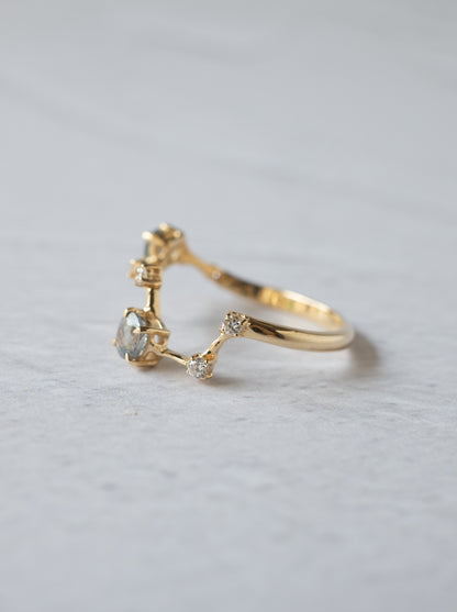 Montana Sappire Asterism Ring