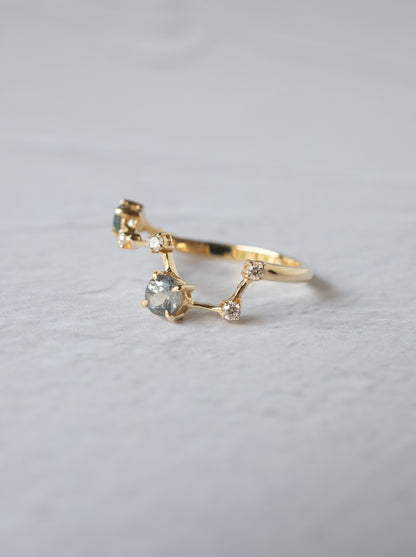 Montana Sappire Asterism Ring