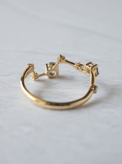 Montana Sappire Asterism Ring