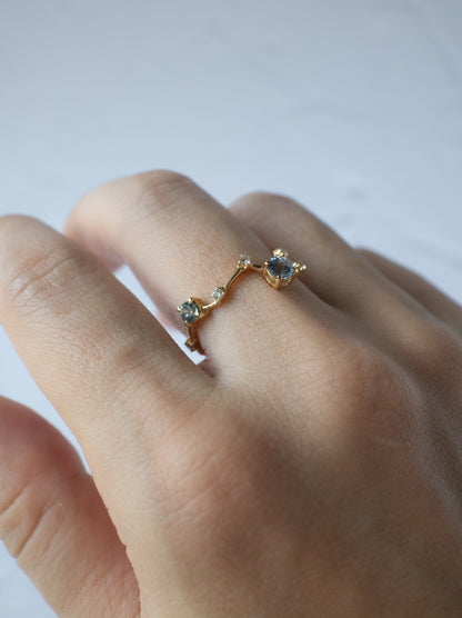 Montana Sappire Asterism Ring