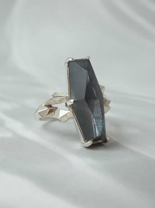 Hematite in Quartz CRYSTALLIZE Ring / cut by CANNA