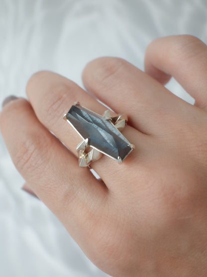 Hematite in Quartz CRYSTALLIZE Ring / cut by CANNA